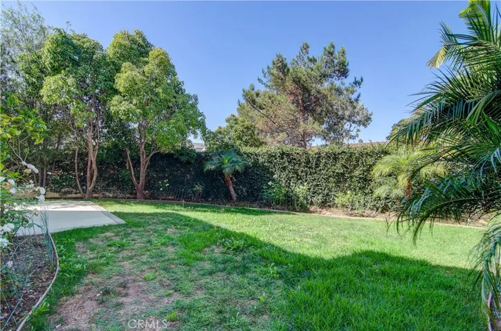 Back yard