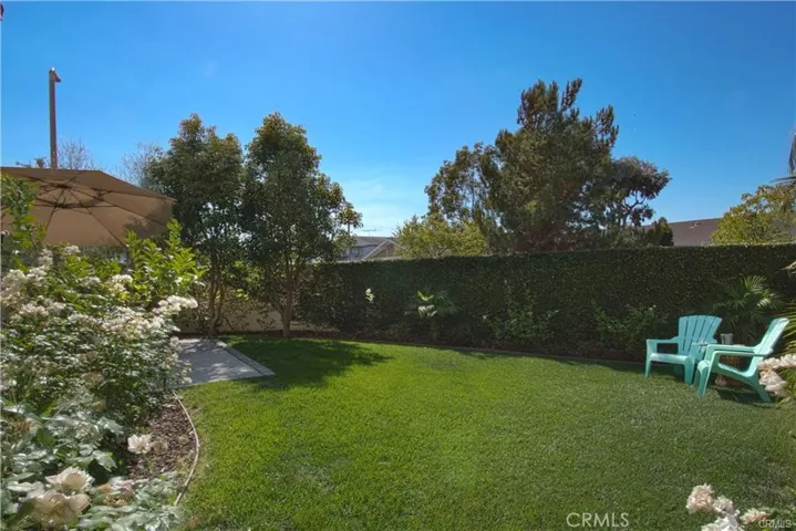 Grassy back yard