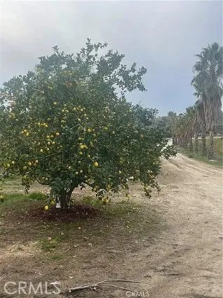 44705 Us Highway 371, Aguanga, California 92536