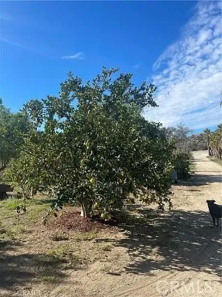 44705 Us Highway 371, Aguanga, California 92536