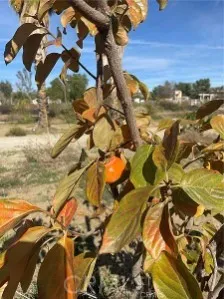 44705 Us Highway 371, Aguanga, California 92536