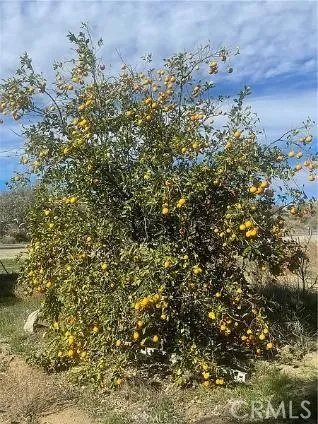 44705 Us Highway 371, Aguanga, California 92536
