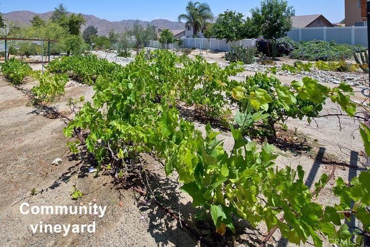 27429 Fawn Ridge Court, Corona, California 92883