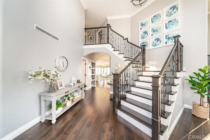 Gorgeous iron railings