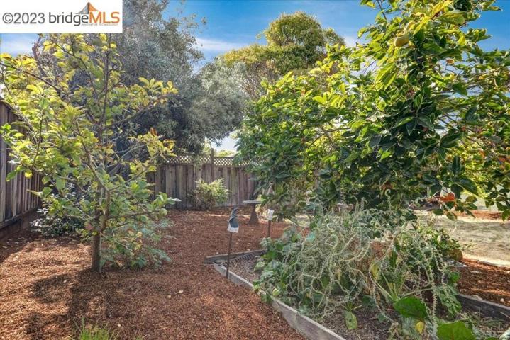 940 Richmond St, El Cerrito, California 94530