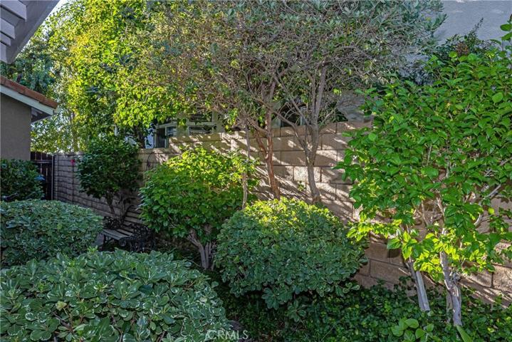 Rear Side Yard