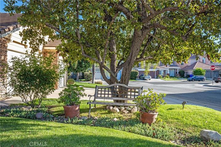 Front Yard
