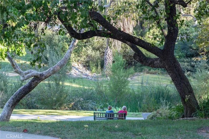 LW Creek walk