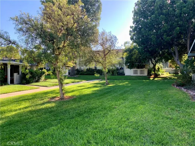 Huge grass area on both sides