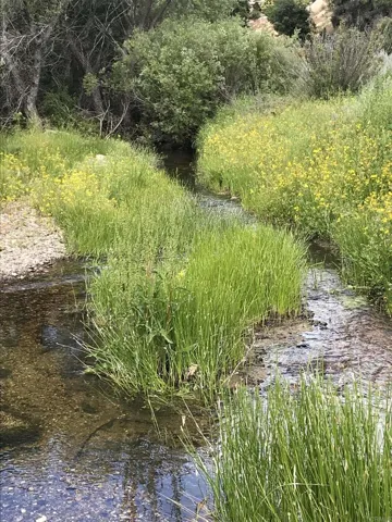 28857 Old Highway 80 15, Pine Valley, California 91962
