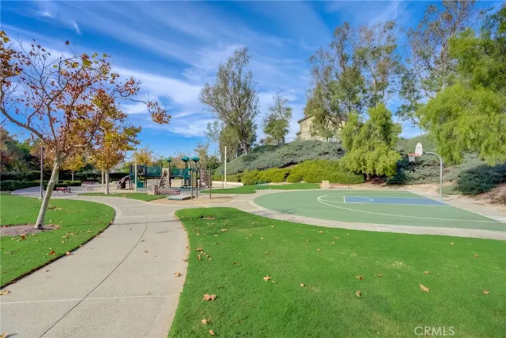 Community Park