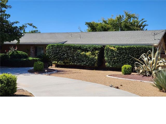 Easy-care Desert Landscaping!