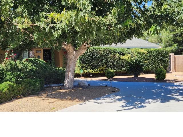Shaded Circular Driveway Parling!