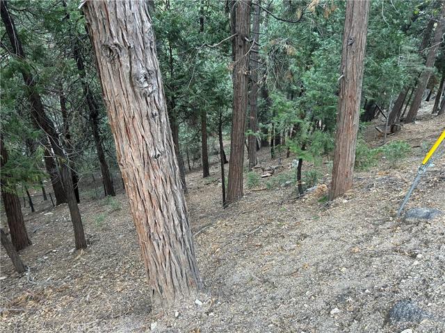 0 Hillside Road, Lake Arrowhead, California 92352