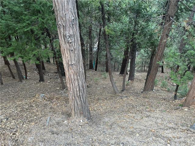 0 Hillside Road, Lake Arrowhead, California 92352
