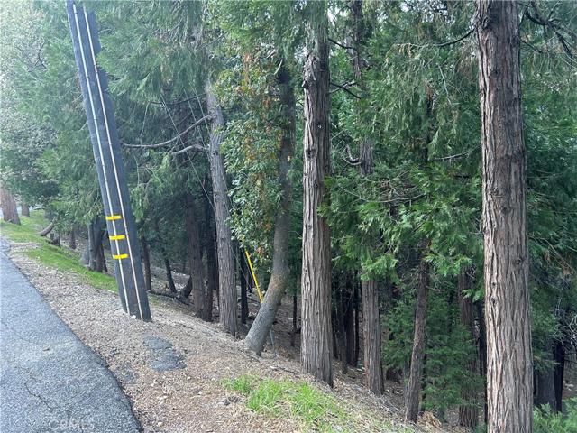 0 Hillside Road, Lake Arrowhead, California 92352