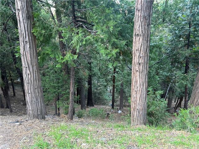 0 Hillside Road, Lake Arrowhead, California 92352