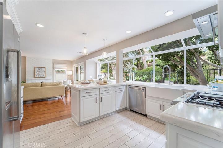 25161 Danabirch, Dana Point, California 92629