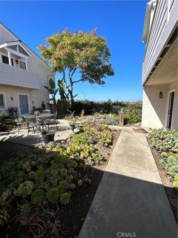 24051 Vista Corona, Dana Point, California 92629