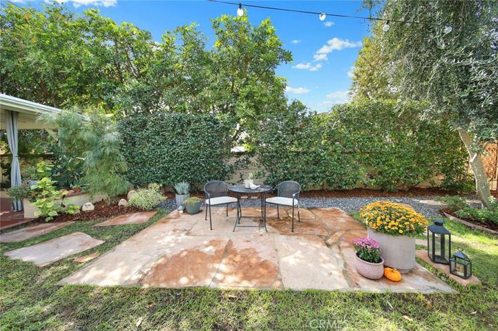 Back yard