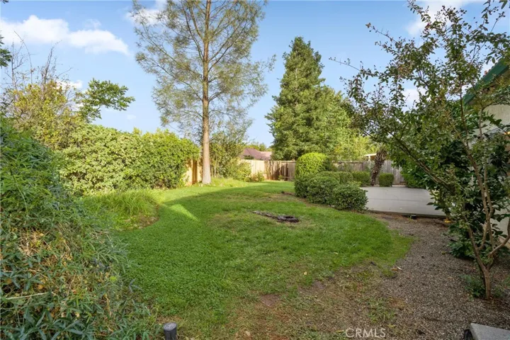 A view of the backyard