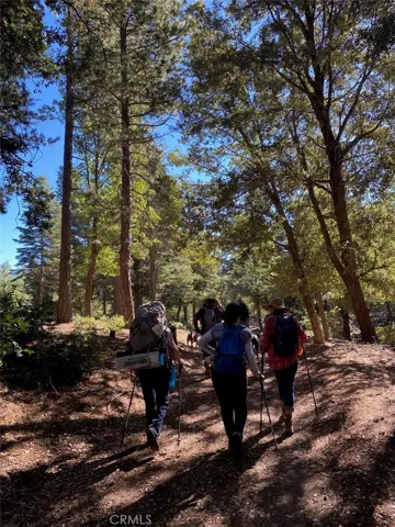 Local Hiking Trails
