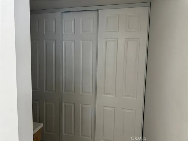 Master Closet #2