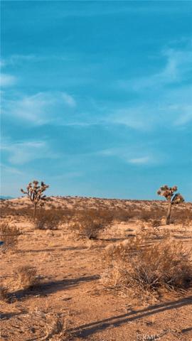 0 Cielito, Joshua Tree, California 92252