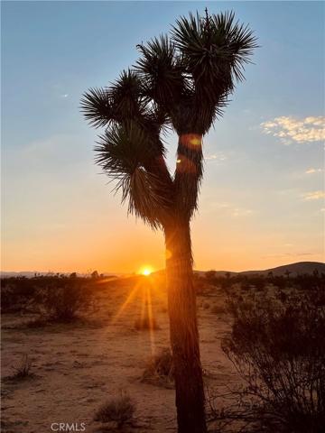 0 Cielito, Joshua Tree, California 92252