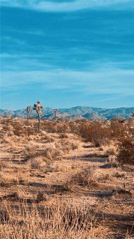 0 Cielito, Joshua Tree, California 92252