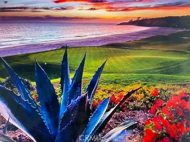 Monarch beach view