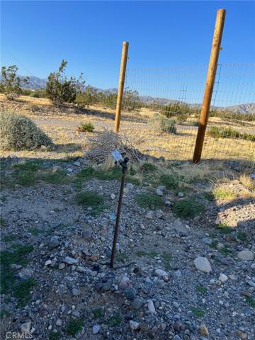 Spigot