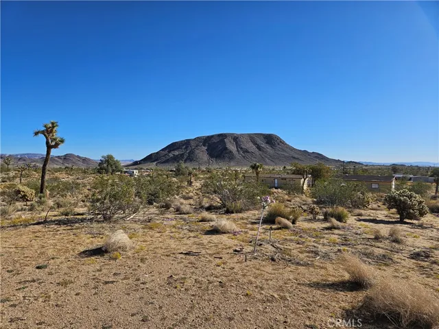2135 Road Runner Lane, Landers, California 92285