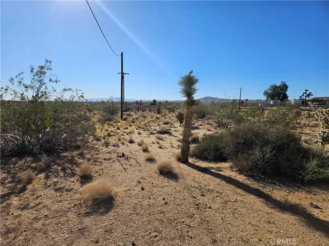 2135 Road Runner Lane, Landers, California 92285
