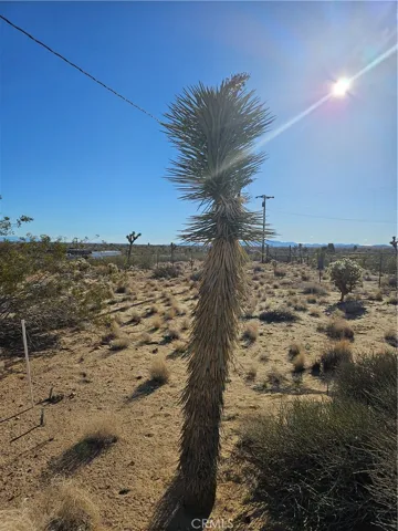 2135 Road Runner Lane, Landers, California 92285