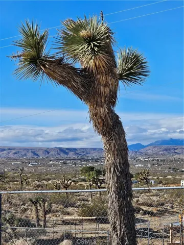 2135 Road Runner Lane, Landers, California 92285
