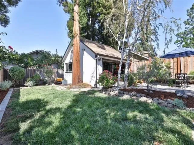 Thoughtful, low-maintenance landscape w/ mature Redwood trees.