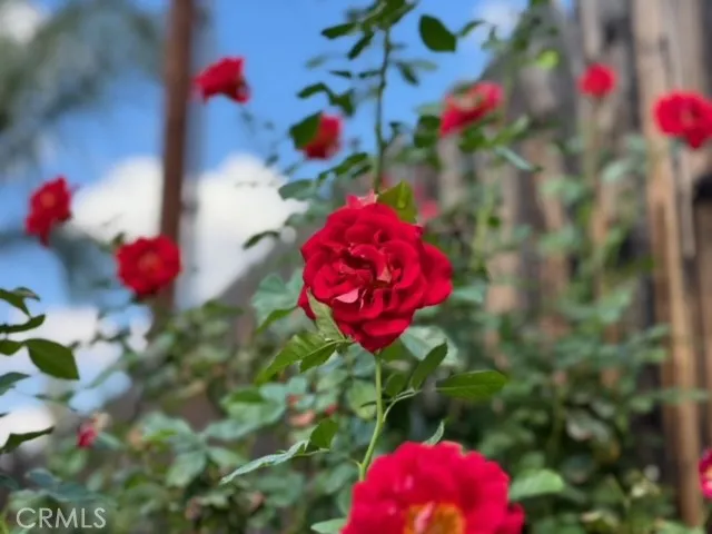 5545 Tower Road, Riverside, California 92506