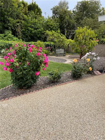 View of the beautiful flowers, and bench in the background