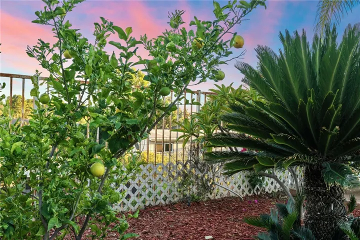 5292 Broken Hill Court, Yorba Linda, California 92886