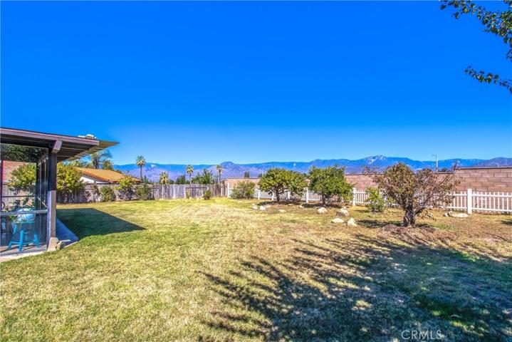 1317 5th Avenue, Redlands, California 92374