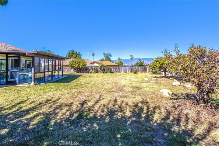 1317 5th Avenue, Redlands, California 92374