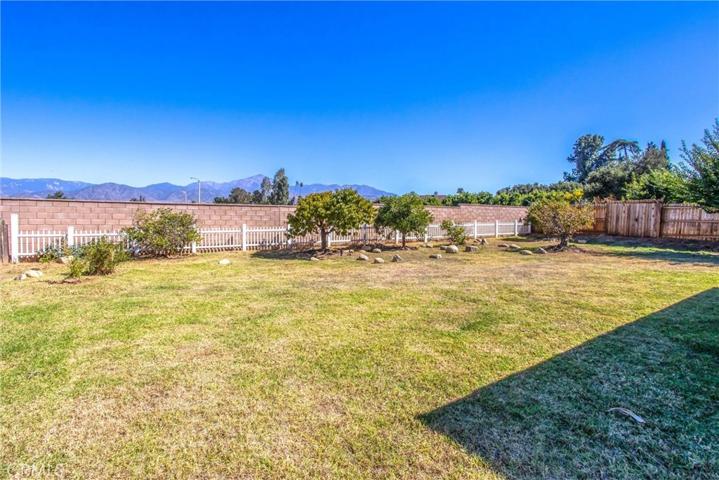 1317 5th Avenue, Redlands, California 92374