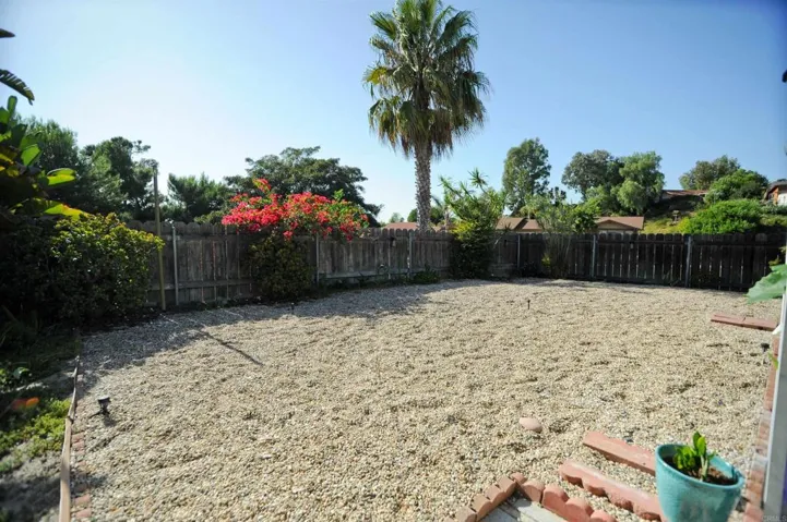low maintenance back yard