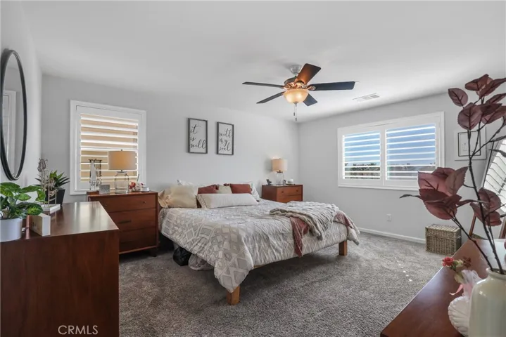 Master suite with walk-in-closet.