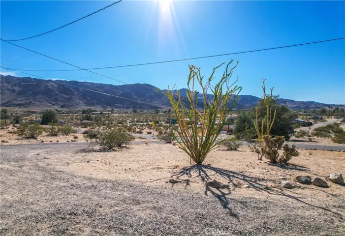 6597 Mesquite Springs Road, 29 Palms, California 92277