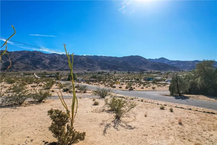 6597 Mesquite Springs Road, 29 Palms, California 92277