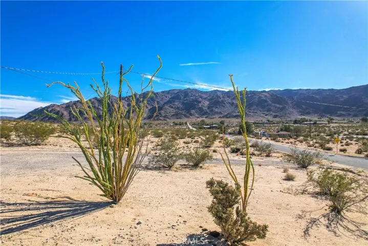 6597 Mesquite Springs Road, 29 Palms, California 92277