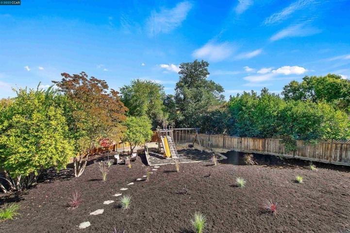 Huge Yard!