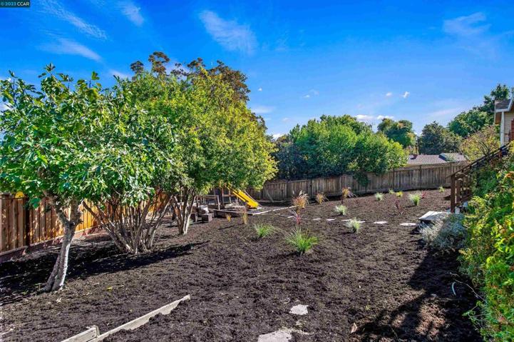 116 Miramonte Road, Walnut Creek, California 94597